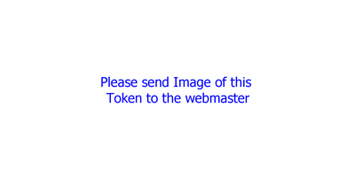 13th Annual Convention Silver Need Token Image (sCGCxxxx-013-S1)